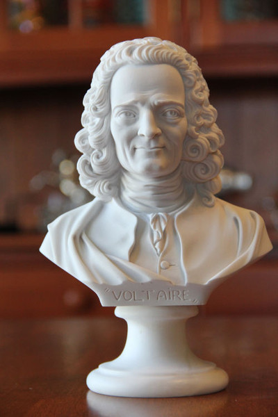 Neurosurgery Voltaire Author Philosopher Portrait Bust Statue Marble